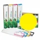 EEC, Cartuchos Mimaki SS21 compatíveis, 440ml - Tintas EcoSolvent EcoNova MAPLE - amarelo