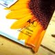 Papel HQ de alta calidad para impresoras de tinta, 105gr, 100 hojas A3 y A4 - a4